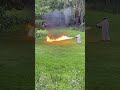 How to get rid of hornets #hornetsnest