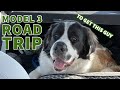 Tesla Model 3 Colorado Road Trip To Collect Giant Foster Dog
