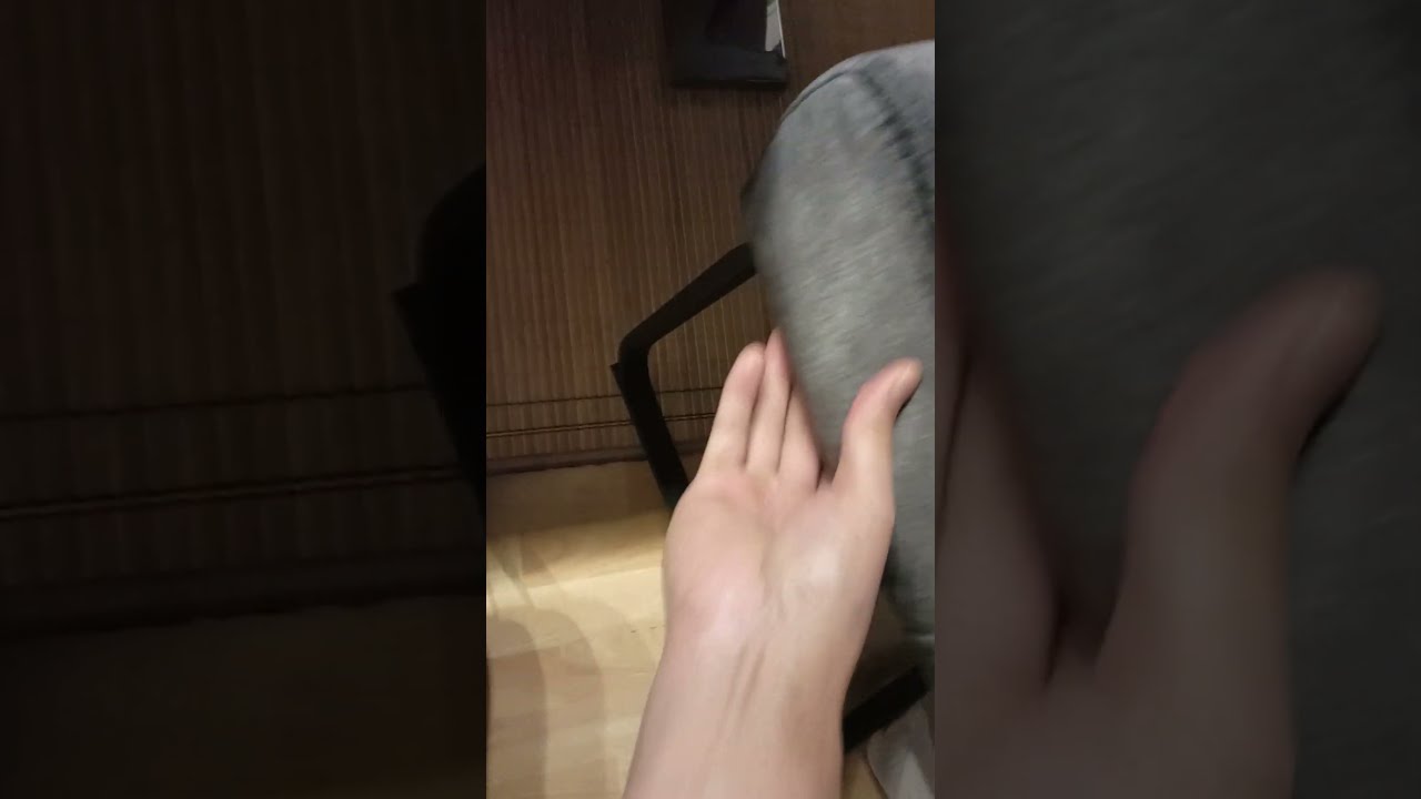 Based Schwingstuhl Aus Samt In Anthrazit Mömax Wien