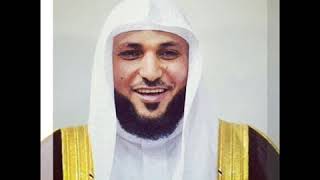 ماهر المعيقلي القران كامل 2 بدون إعلانات screenshot 5