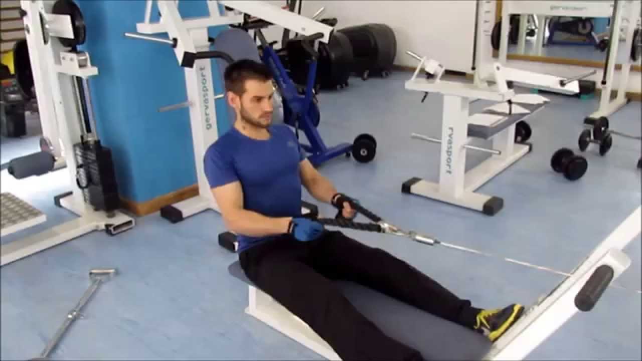 remo horizontal sentado con polea