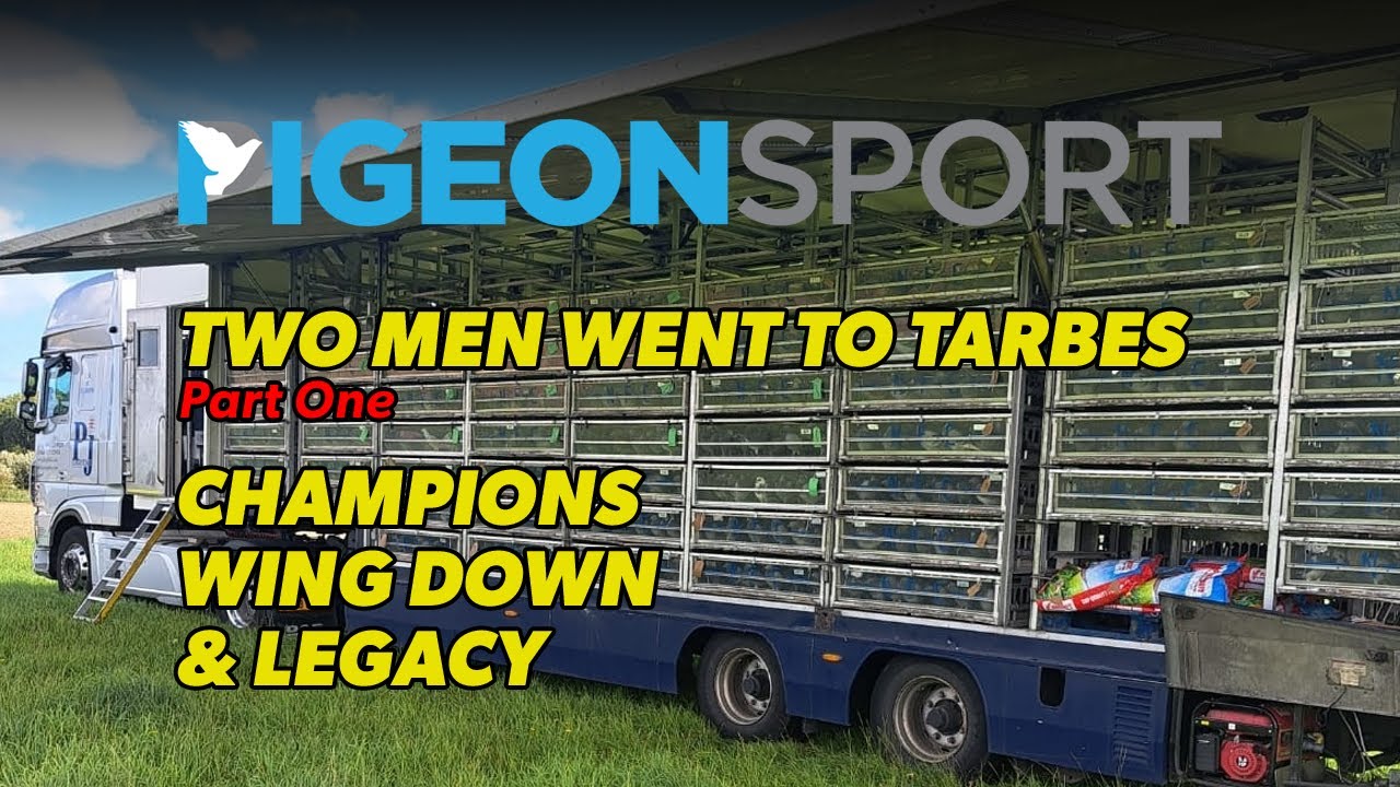 Двое мужчин отправились в Тарб. Часть первая