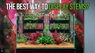 UNS 60U Planted Tank Setup ft. UNS Terrace Aquarium Plant Wall