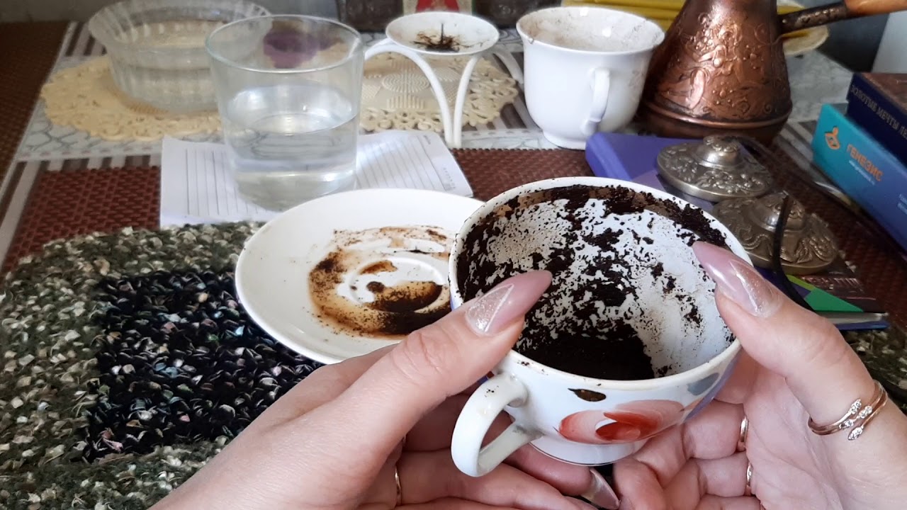 мышка на кофейной гуще. муравей кофейная гуща. мышка на кофейной гуще. крыса логотип. мышка на кофейной гуще.