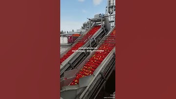 Tomato sauce turn key project