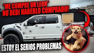 ME COMPRE EL LEON DE UN NARCO EN LA SUBASTA!