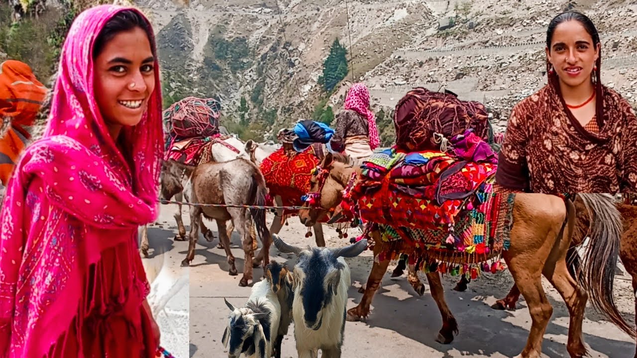 Gujjar Bakarawal Brother's 🥰Life In Summer|| Tourist Places ❤️