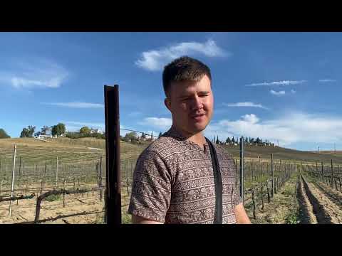 Video: Yuav mus xyuas Wineries hauv napa li cas?