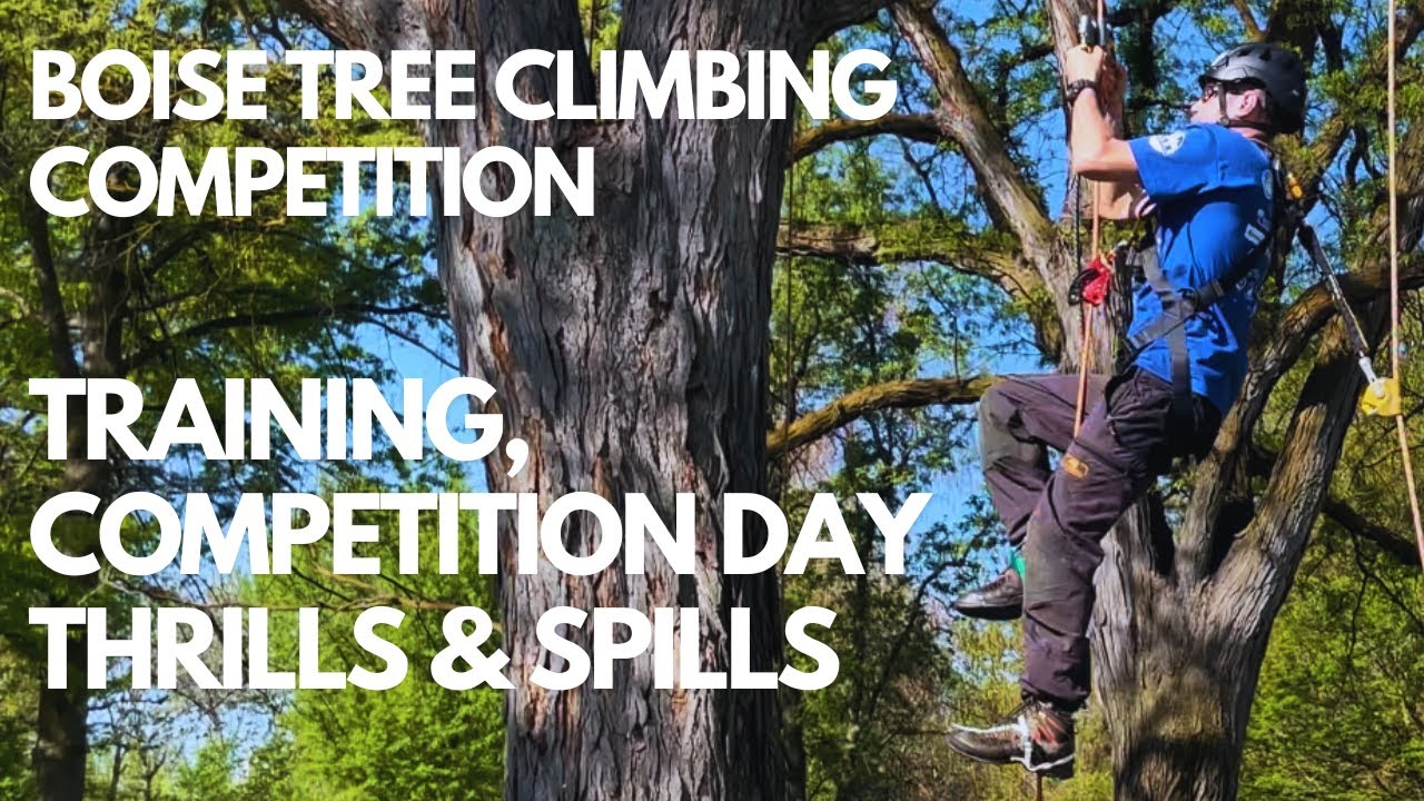 Dan's journey to Boise tree climbing competition 2023
