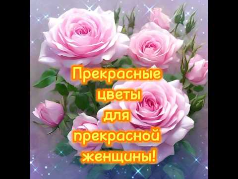 🌺Прекрасные цветы для прекрасной женщины с добрыми пожеланиями!🥰 #реки #цветы