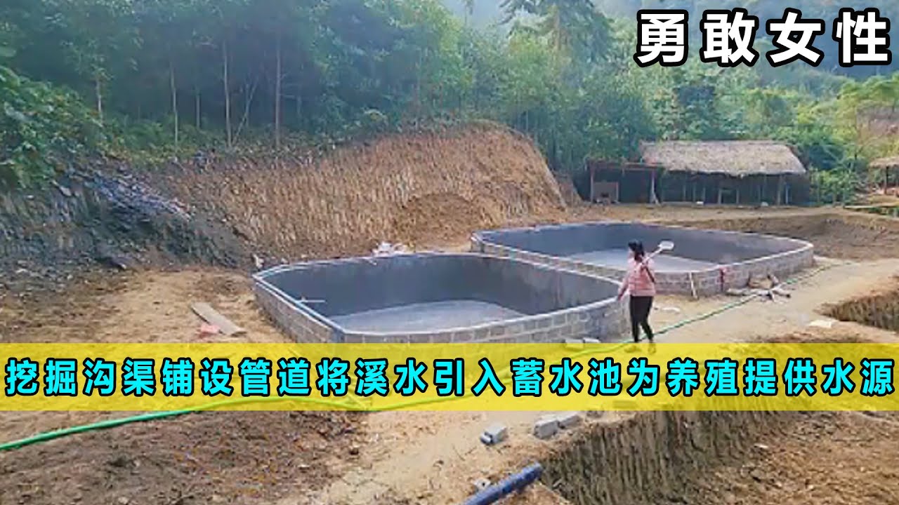 挖掘沟渠并铺设管道将溪水引入蓄水池，为养殖池提供水源《勇敢女性》02
