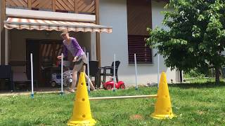 Sonic Grab To Weaves, Handler Behind, Dog On Side Wrong Leg 12