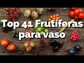 41  Árvores Frutíferas que pode plantar em Vasos Facilmente GARANTO!