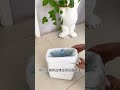 Easy Tip to Keep Your Garbage Bag Secure - Home Life Hacks GarbageBagLifehack SmartSolutio