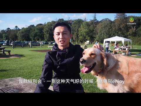 （爱尔兰华人会活动记录）爱尔兰式的生活方式指南——周末与朋友一起户外烧烤