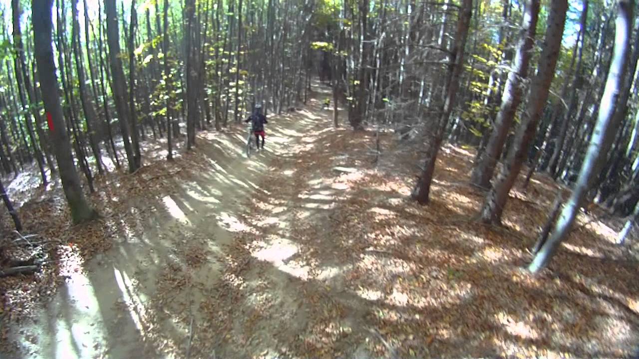 Si ce doare :) camera iphone 8 plus apk