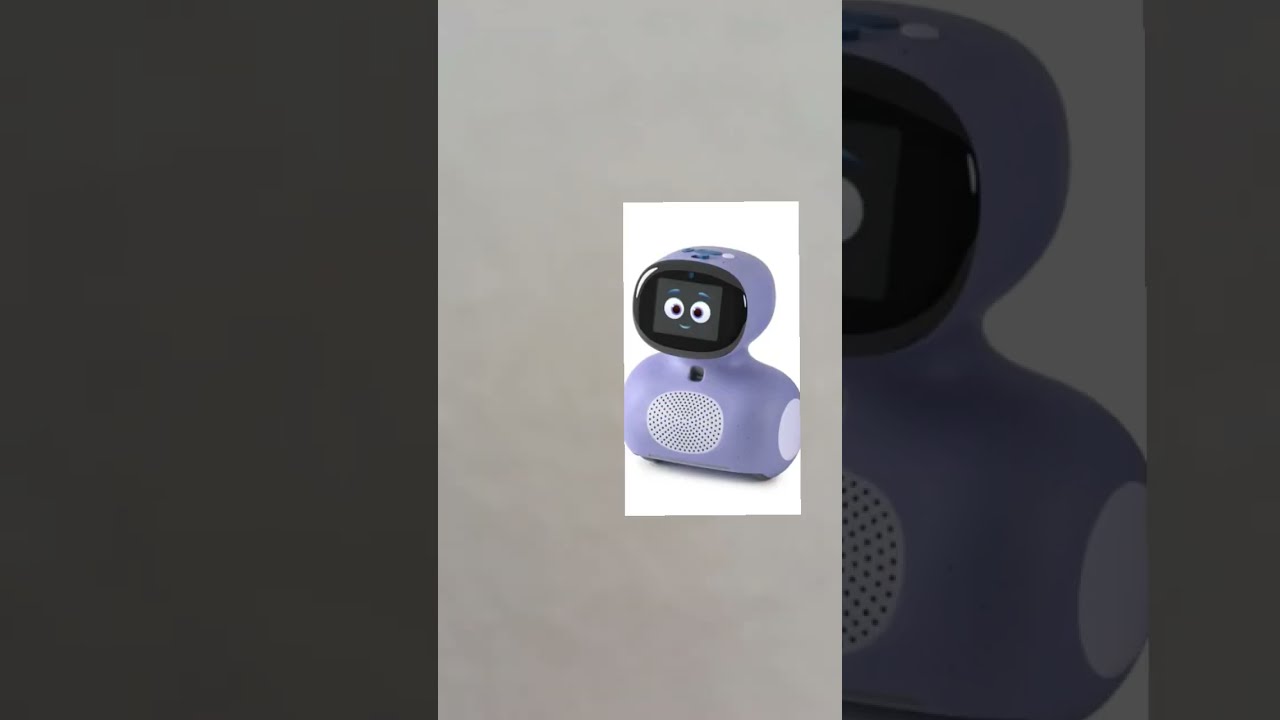Miko Mini Meets Amazon Echo