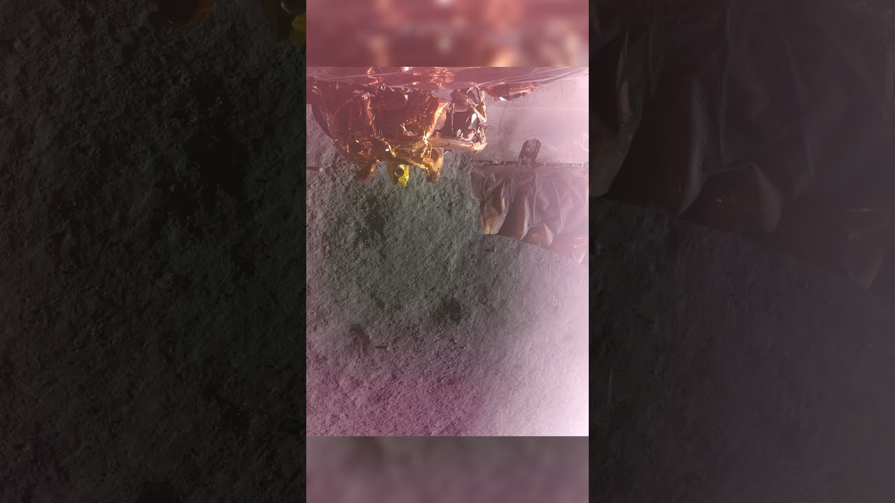 What S Inside The Moon NASA Science Instrument Deployed To Find Out