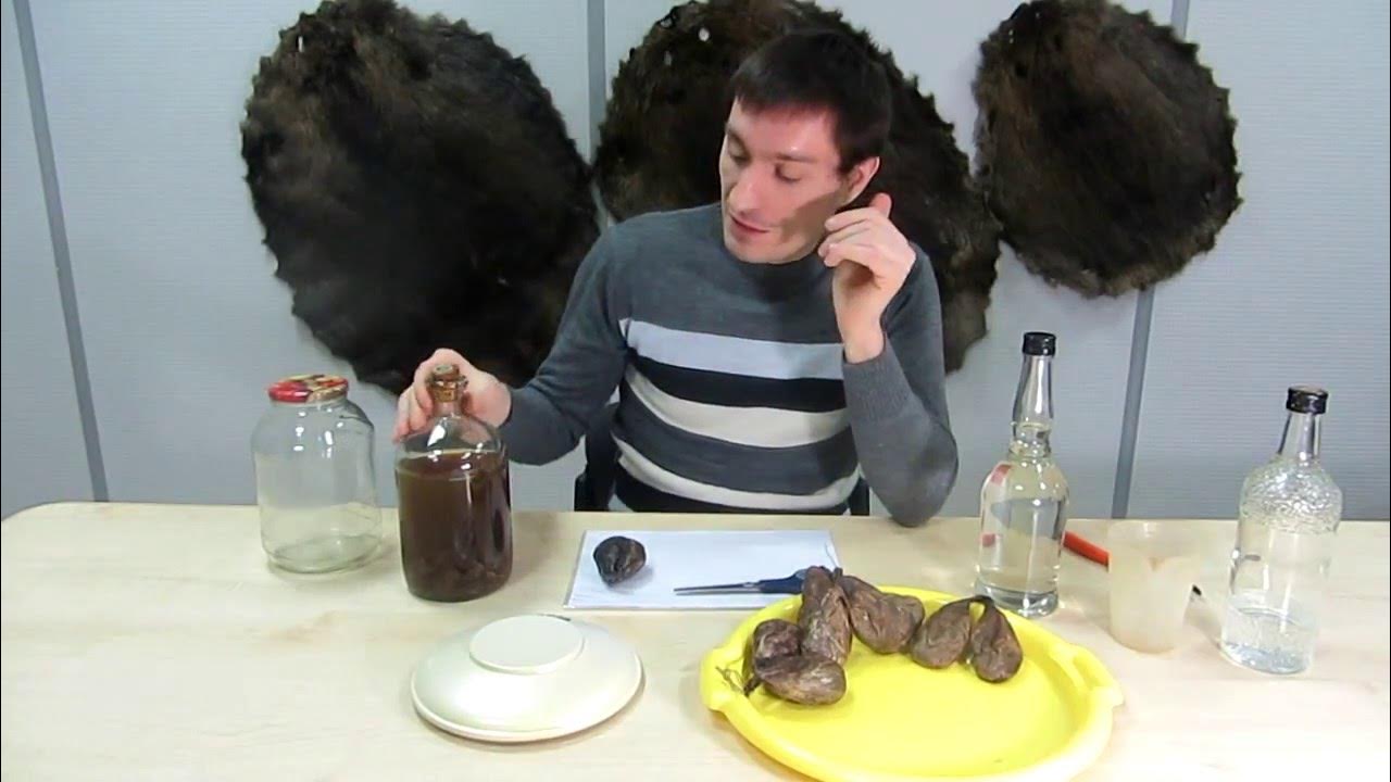 Бобровая струя, делаем настойку, все о настойке из бобровой струи ...