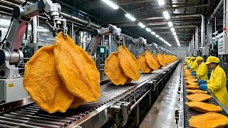 Inside a Factory: How Tons of Fresh Mangoes Become Dried Mango Slices (Full Process)