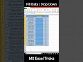 Fill data fast by drop down menu in MS excel - Create Drop down to fill data fast Urdu Hindi #shorts