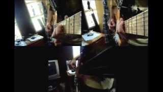 Lasso - Phoenix (Bass/Guitar Cover)