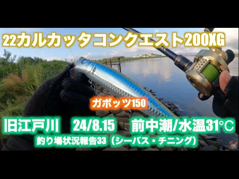 22カルカッタコンクエスト200XGで釣り】 旧江戸川シーバス