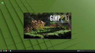 Install GIMP on Linux Mint - the simple way