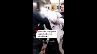 Four men charged in Taskforce Falcon organised crime crackdown