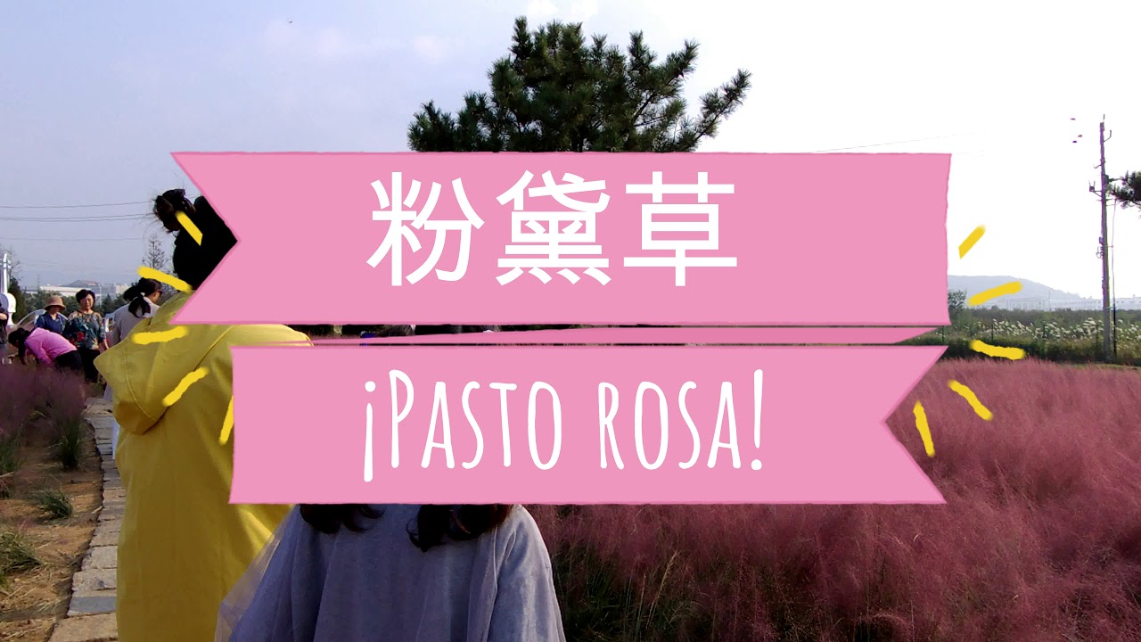 Pasto Rosa YouTube