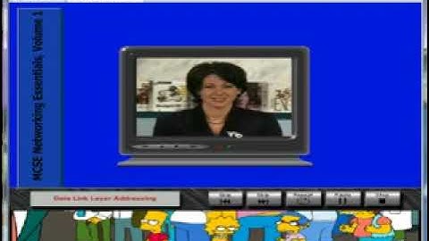 Viagrafix: Teach Yourself Networking Essentials Volume 1 - Chapter 4, Section 6