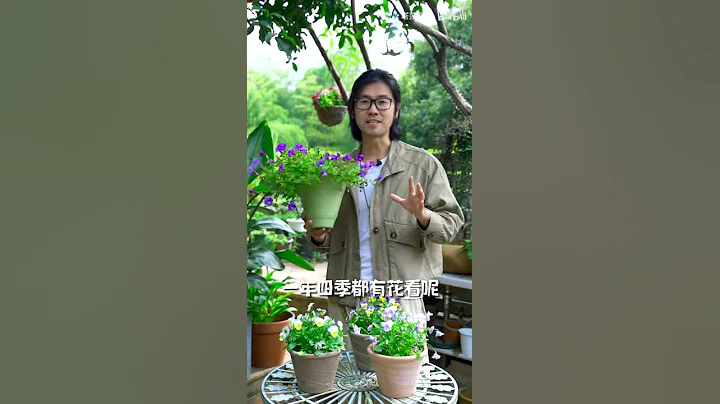 給大家推薦一個組合，一年四季有花看~ - 天天要聞