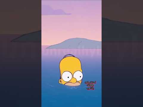 هومر سو ى مصيبة