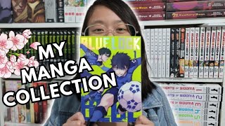 2024 Manga Collection Tour | 1,000+ Volumes