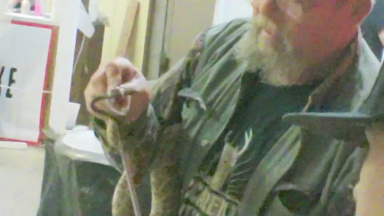 PUTTING SNAKE IN A FREEZER in APACHE OKLAHOMA.MP4 YouTube