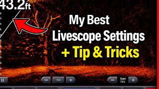 MY BEST LIVESCOPE SETTINGS, Plus Tips and Tricks, EP 1926