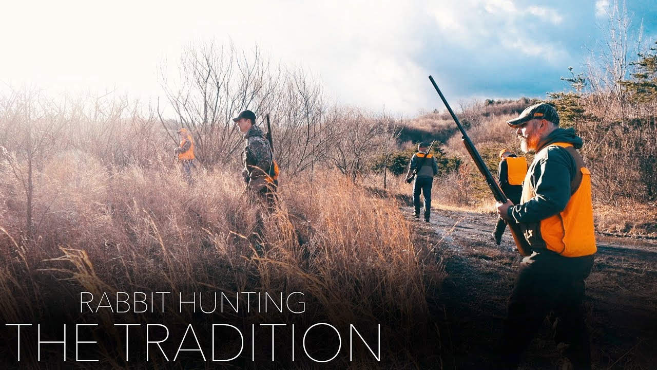 RABBIT HUNTING - THE TRADITION - YouTube