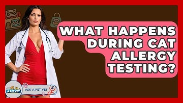 What Happens During Cat Allergy Testing? - Ask A Pet Vet