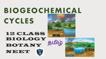 Biogeochemical Cycles in Tamil I Ecosystem I Botany I Class 12  | TNSCERT/CBSE | NEET