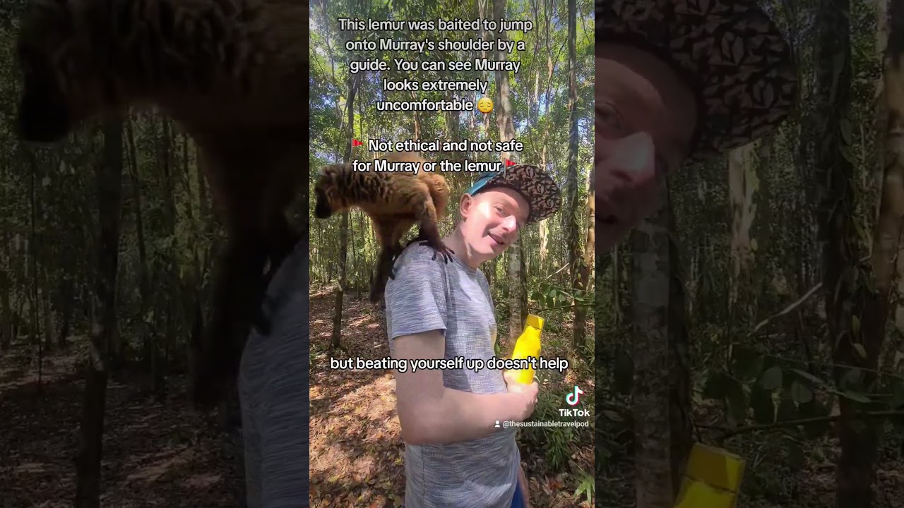 What to do if you accidentally have an unethical wildlife encounter