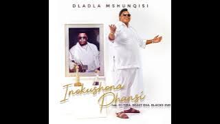 Dladla Mshunqisi Feat. Dj Tira,Beast & Black JNR - Inokushona Phansi (Official Audio)