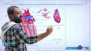 تركيب القلب والدورة الدموية || الأحياء || الأول ثانوي || أ. أنس النجار