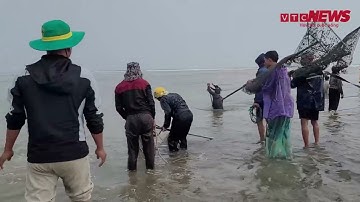 Ngư dân Hà Tĩnh buộc dây vào người, ngâm mình trong nước biển lạnh vớt sò lông