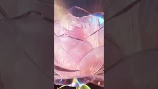 A Rose Made of Crystal Petals