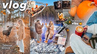 видео: VLOG // Октябрь: Оленья Ферма, ПЕРВЫЙ СНЕГ, СТЕНДАП, Пикник и отдых в Глэмпинг, распаковки картинка: VLOG // Октябрь: Оленья Ферма, ПЕРВЫЙ СНЕГ, СТЕНДАП, Пикник и отдых в Глэмпинг, распаковки
