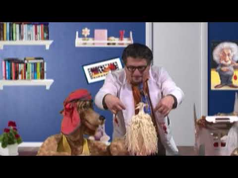 Enki-Benki - \"ძილისპირული\"- ჩიჩილაკი