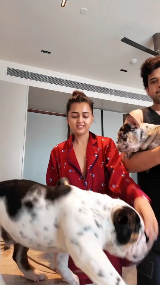 #tejasswiprakash #karankundra share love with their pawdies on valentine's day ❤️ #filmykalakar
