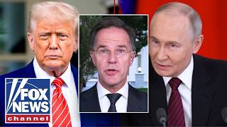 NATO leader reveals what's next after Trump canceled Putin meeting