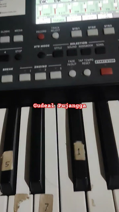 SET Korg Pa600 Budalan Boto Rubuh WA:0895334828000