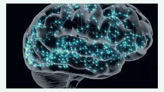 The Invisible Hand  How AI Learns Human Thought ByteTantra